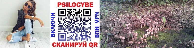 мориарти официальный сайт  закладки  Малоярославец  Псилоцибиновые грибы прущие грибы 