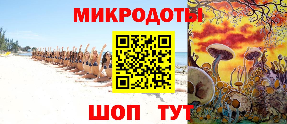 купить наркотики цена  Вход с VPN  Малоярославец  Псилоцибиновые грибы Psilocybe 