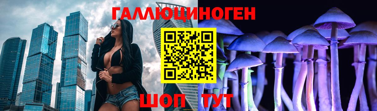 Галлюциногенные грибы Psilocybe Малоярославец